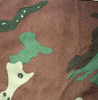 Soldier 2000 Nutria uniform