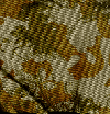 Police camouflage - pattern 2